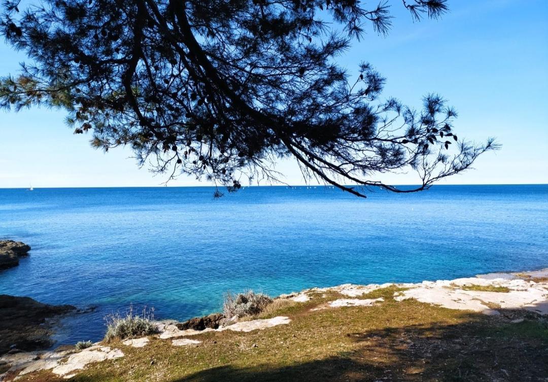 Sunset Bay Apartment Пула Екстериор снимка